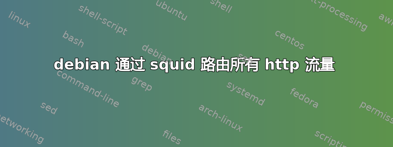 debian 通过 squid 路由所有 http 流量