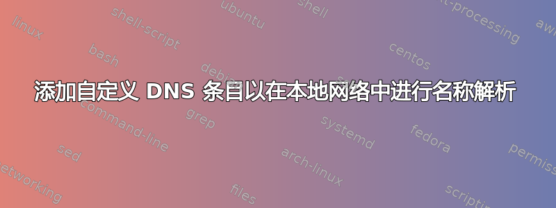 添加自定义 DNS 条目以在本地网络中进行名称解析