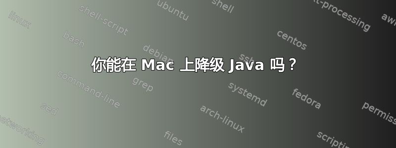 你能在 Mac 上降级 Java 吗？