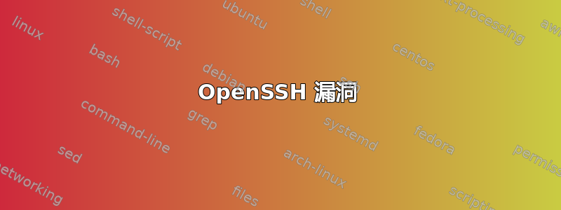 OpenSSH 漏洞