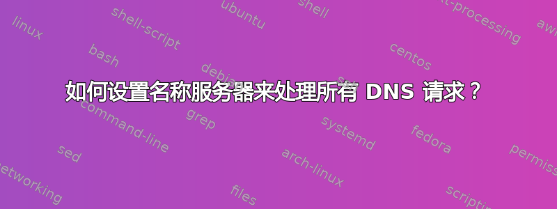 如何设置名称服务器来处理所有 DNS 请求？