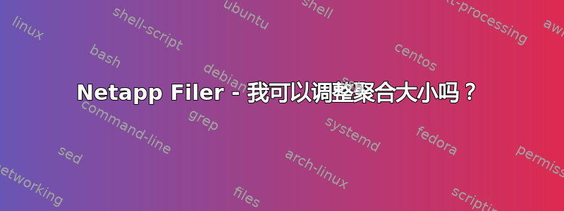 Netapp Filer - 我可以调整聚合大小吗？