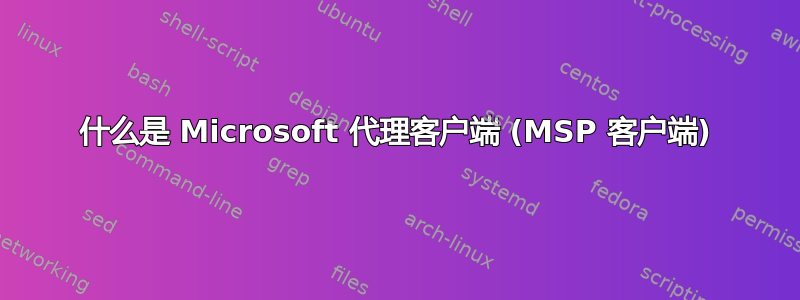 什么是 Microsoft 代理客户端 (MSP 客户端)