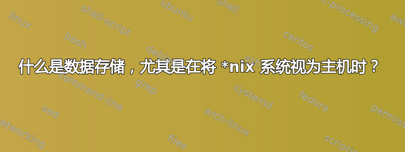 什么是数据存储，尤其是在将 *nix 系统视为主机时？