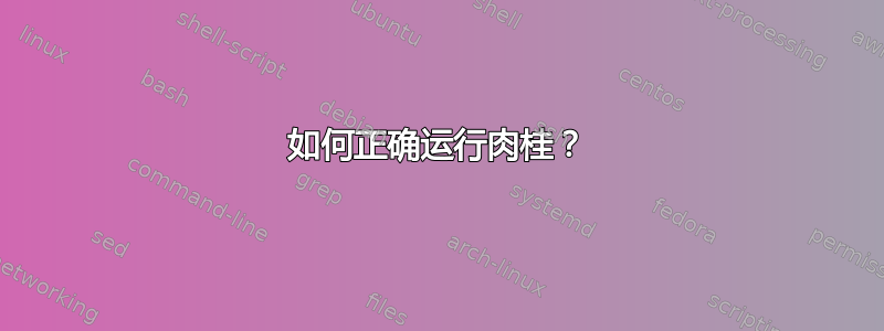 如何正确运行肉桂？