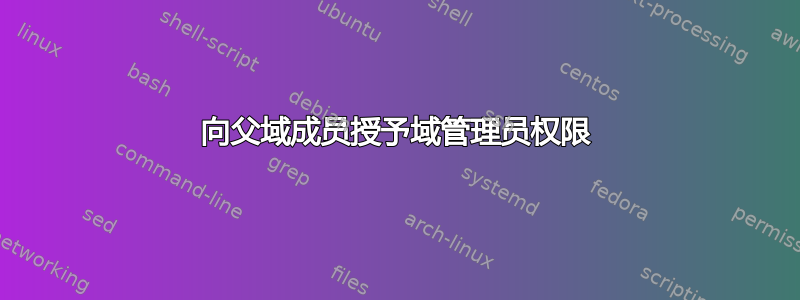 向父域成员授予域管理员权限