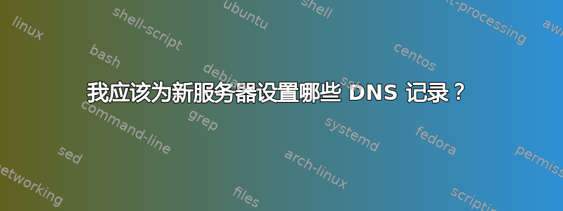 我应该为新服务器设置哪些 DNS 记录？