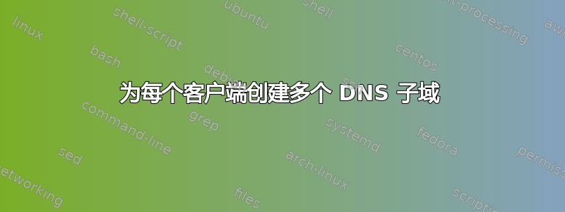 为每个客户端创建多个 DNS 子域