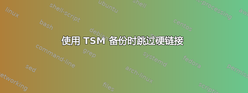 使用 TSM 备份时跳过硬链接