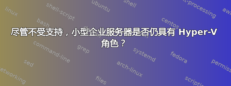 尽管不受支持，小型企业服务器是否仍具有 Hyper-V 角色？