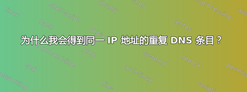 为什么我会得到同一 IP 地址的重复 DNS 条目？