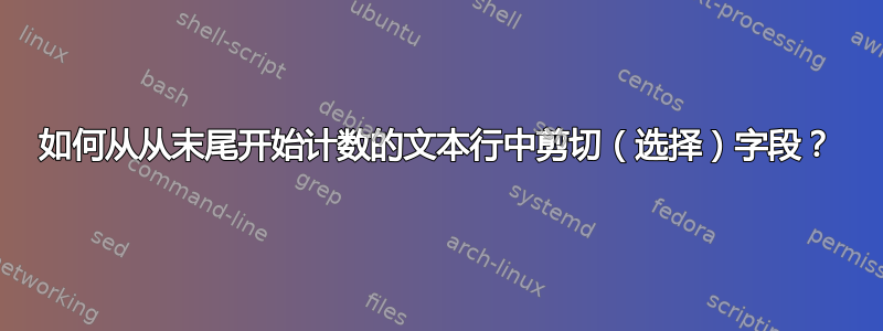 如何从从末尾开始计数的文本行中剪切（选择）字段？