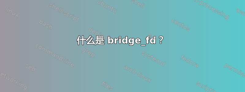 什么是 bridge_fd？