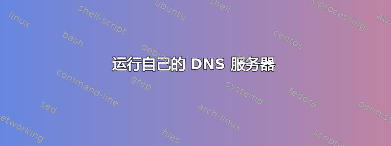 运行自己的 DNS 服务器