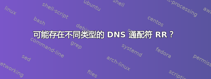 可能存在不同类型的 DNS 通配符 RR？