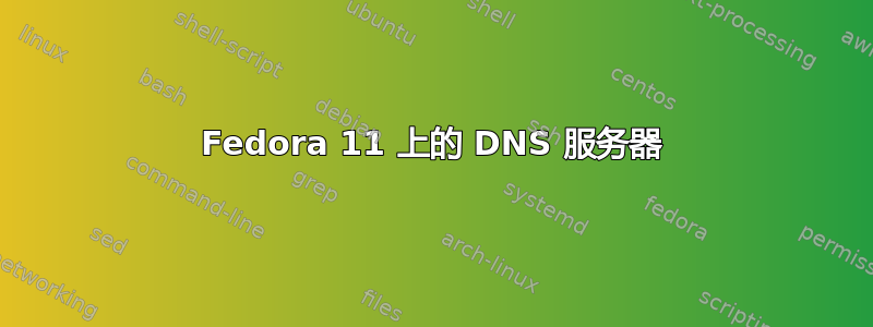 Fedora 11 上的 DNS 服务器