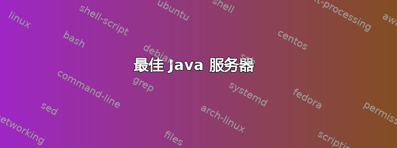 最佳 Java 服务器 