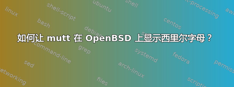 如何让 mutt 在 OpenBSD 上显示西里尔字母？