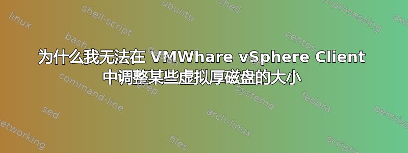 为什么我无法在 VMWhare vSphere Client 中调整某些虚拟厚磁盘的大小