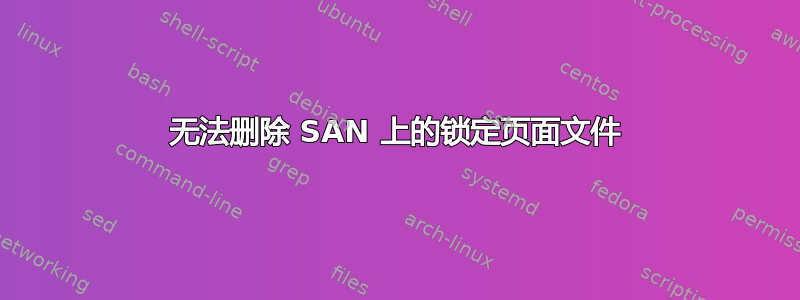 无法删除 SAN 上的锁定页面文件