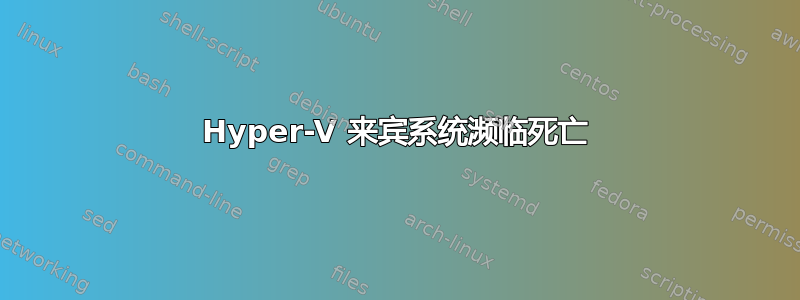 Hyper-V 来宾系统濒临死亡