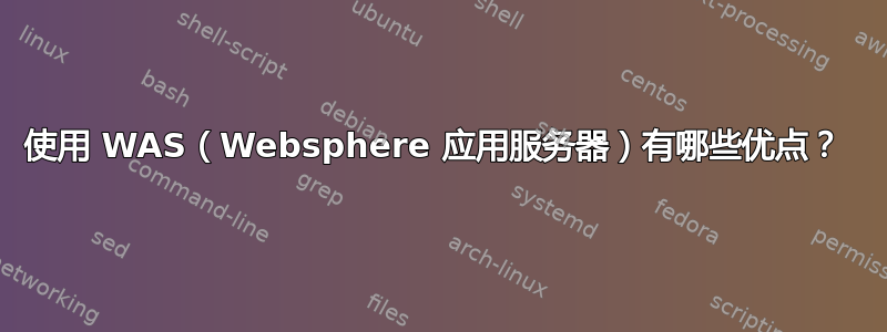 使用 WAS（Websphere 应用服务器）有哪些优点？ 