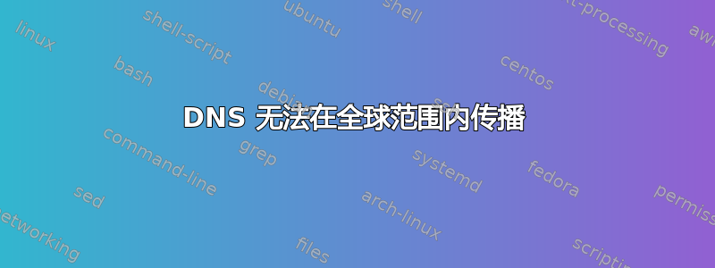 DNS 无法在全球范围内传播