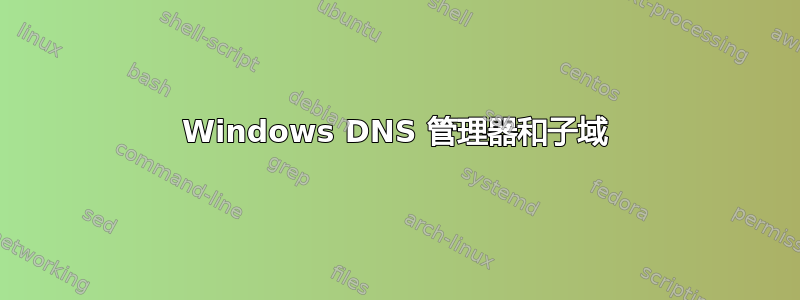 Windows DNS 管理器和子域