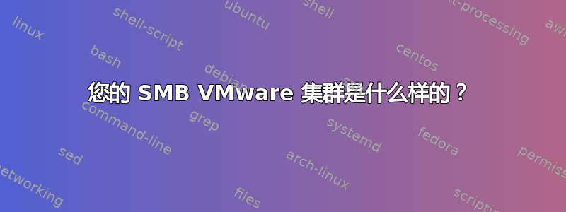 您的 SMB VMware 集群是什么样的？