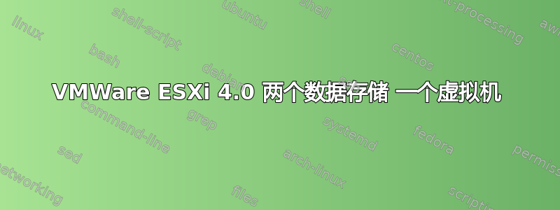 VMWare ESXi 4.0 两个数据存储 一个虚拟机