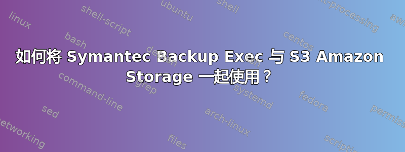 如何将 Symantec Backup Exec 与 S3 Amazon Storage 一起使用？