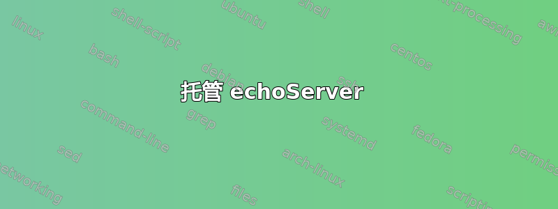 托管 echoServer 