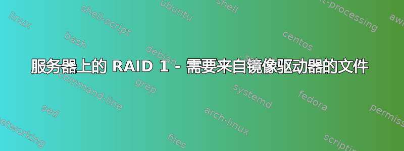 服务器上的 RAID 1 - 需要来自镜像驱动器的文件