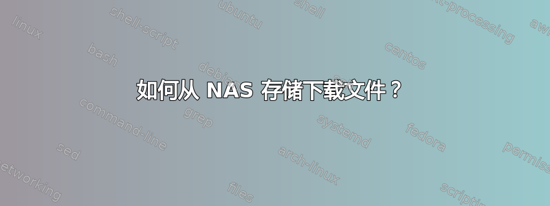 如何从 NAS 存储下载文件？