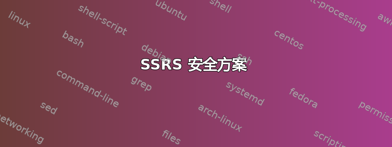 SSRS 安全方案