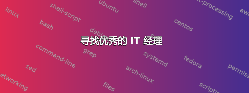 寻找优秀的 IT 经理 