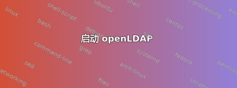 启动 openLDAP