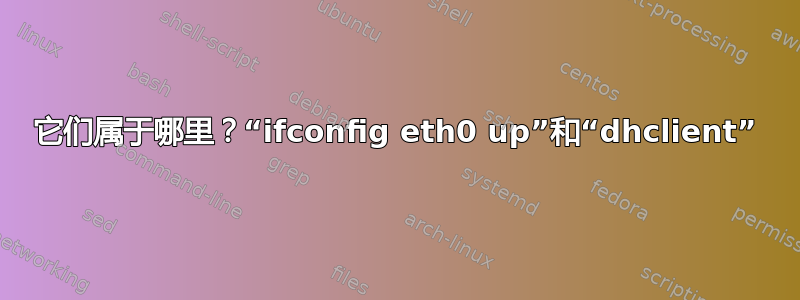 它们属于哪里？“ifconfig eth0 up”和“dhclient”