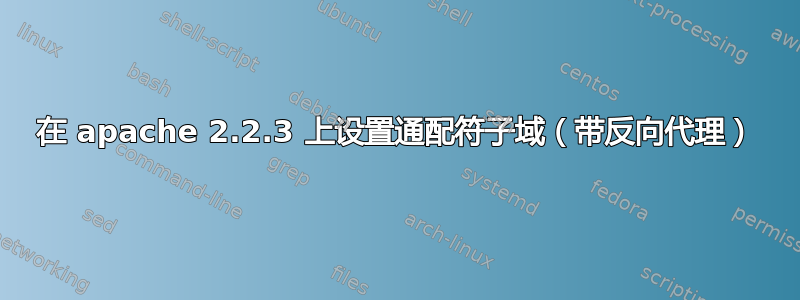 在 apache 2.2.3 上设置通配符子域（带反向代理）