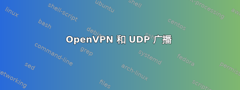 OpenVPN 和 UDP 广播