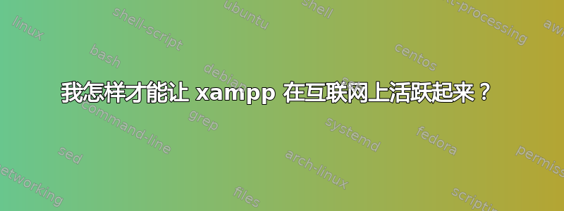 我怎样才能让 xampp 在互联网上活跃起来？