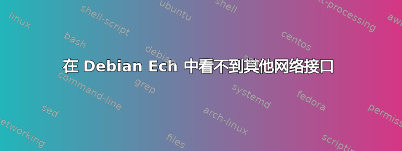 在 Debian Ech 中看不到其他网络接口