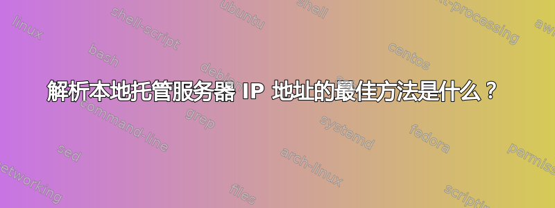 解析本地托管服务器 IP 地址的最佳方法是什么？