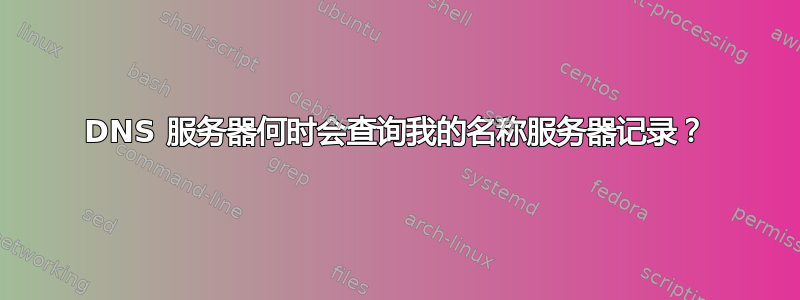 DNS 服务器何时会查询我的名称服务器记录？