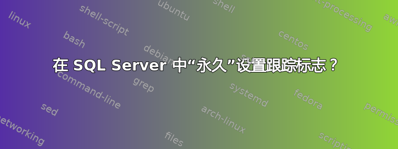 在 SQL Server 中“永久”设置跟踪标志？