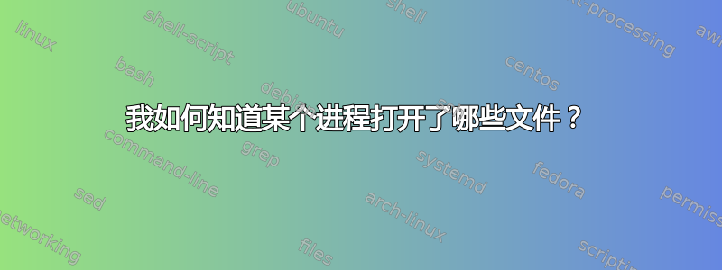 我如何知道某个进程打开了哪些文件？