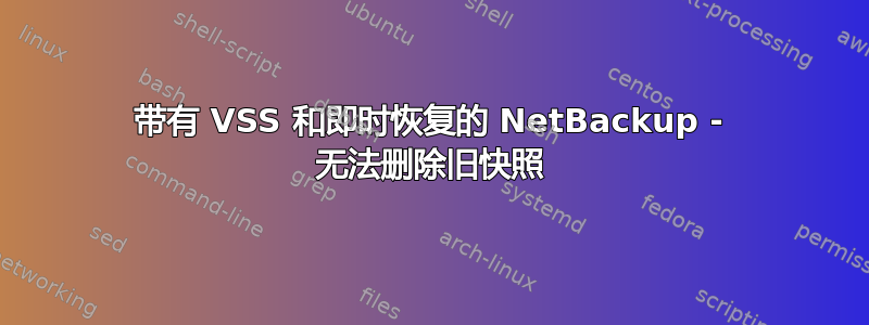 带有 VSS 和即时恢复的 NetBackup - 无法删除旧快照