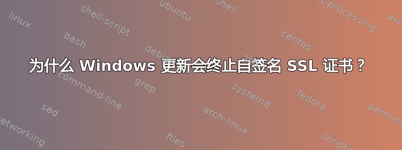 为什么 Windows 更新会终止自签名 SSL 证书？