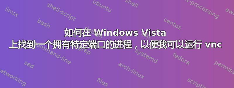 如何在 Windows Vista 上找到一个拥有特定端口的进程，以便我可以运行 vnc