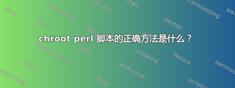 chroot perl 脚本的正确方法是什么？